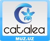 Catalea Catalea